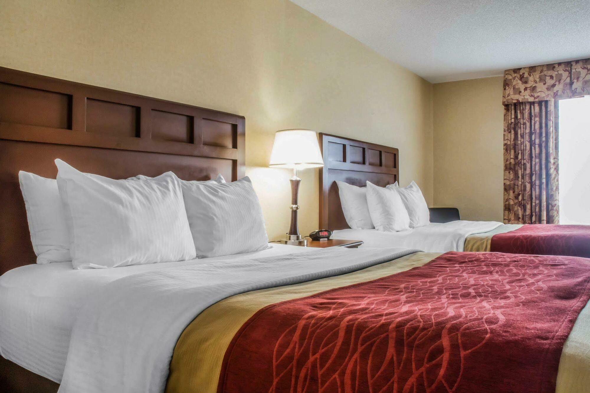 Comfort Inn & Suites Farmington - Victor Extérieur photo